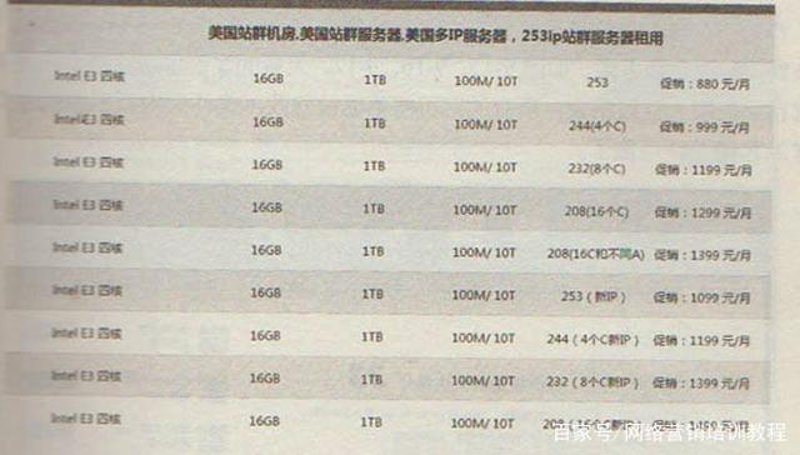 SEO站群：构建网站生态的小秘密